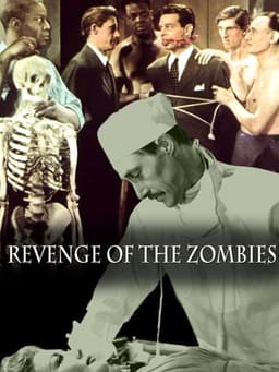 Revenge of the Zombies