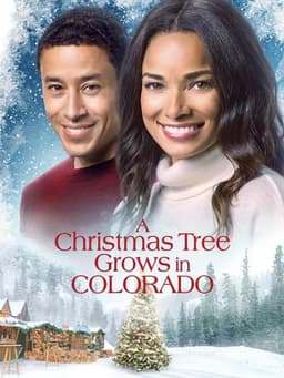 A Christmas Tree Grows in Colorado