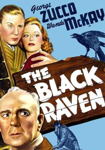 The Black Raven