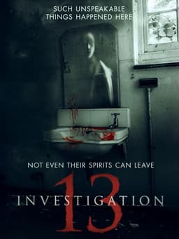 Investigation 13