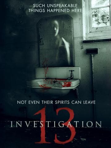Investigation 13