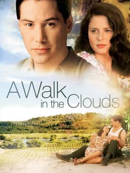 A Walk in the Clouds