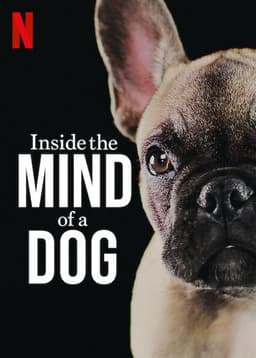 Inside the Mind of a Dog