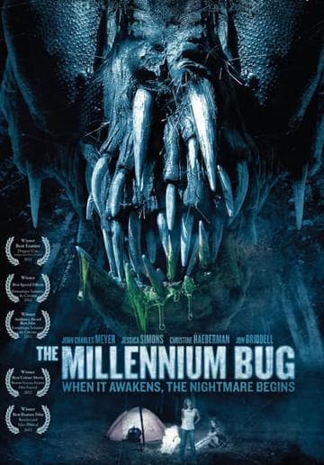 The Millennium Bug