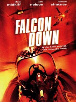 Falcon Down