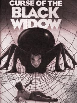 Curse of the Black Widow