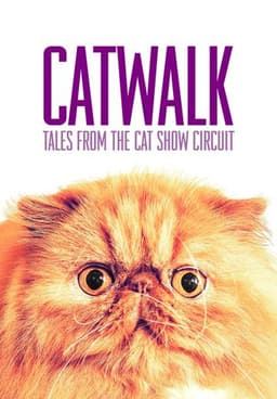 Catwalk: Tales from the Catshow Circuit