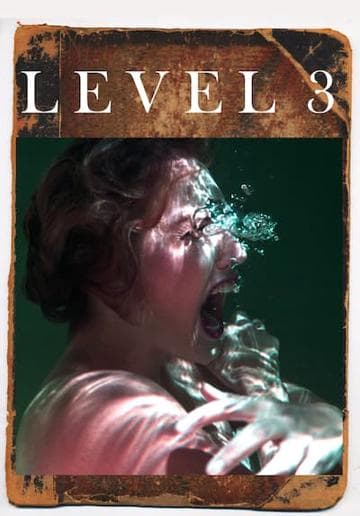 Level 3