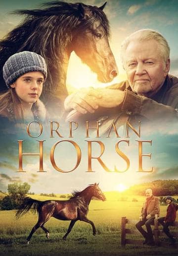 Orphan Horse