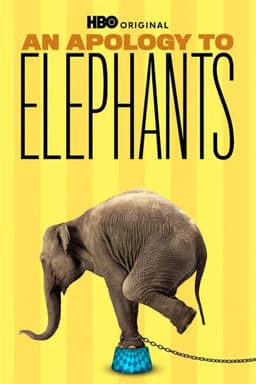 An Apology to Elephants