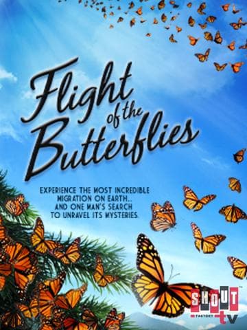 Flight of the Butterflies