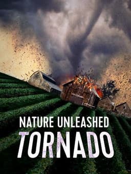 Nature Unleashed: Tornado