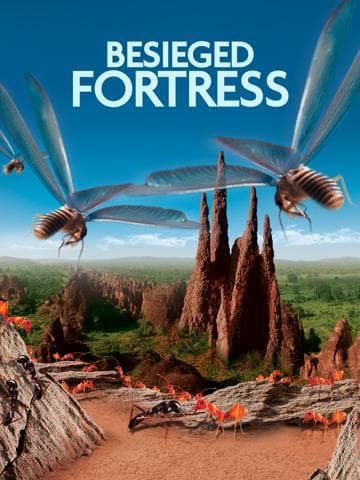 The Besieged Fortress