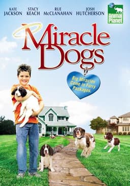 Miracle Dogs