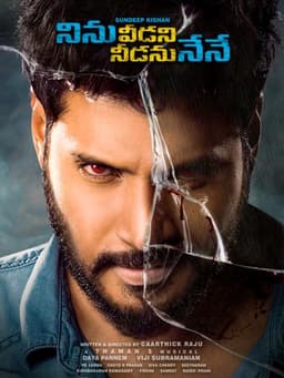 Ninu Veedani Needanu Nene