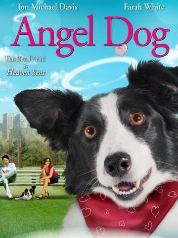 Angel Dog