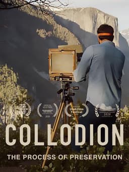 Collodion: The Process of Preservation