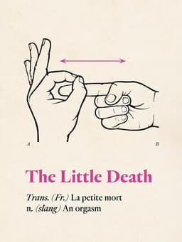 The Little Death