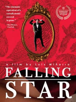 Falling Star