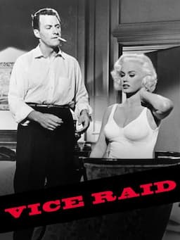 Vice Raid