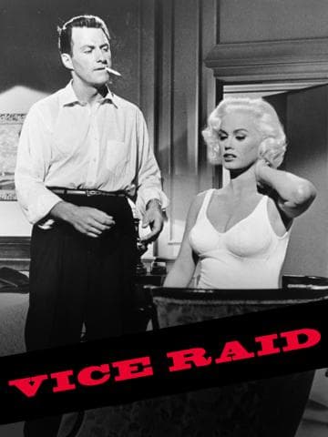 Vice Raid