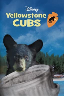 Yellowstone Cubs