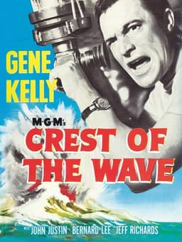 Seagulls Over Sorrento