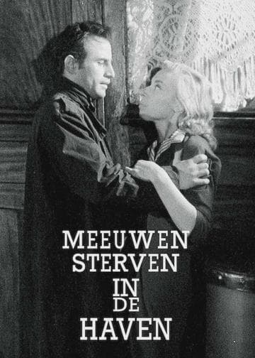 Seagulls Die in the Harbour