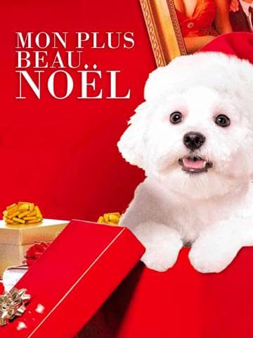 My Dog's Christmas Miracle