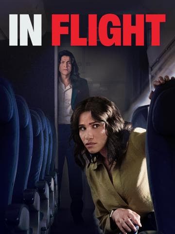 In Flight
