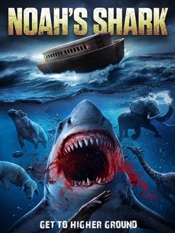 Noah’s Shark