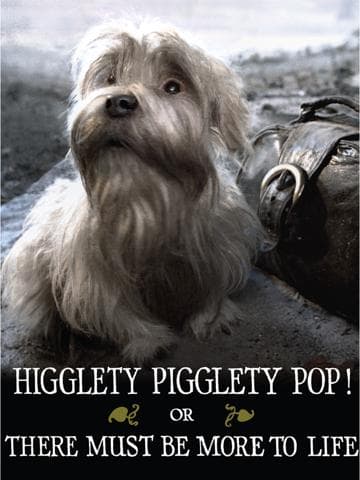 Higglety Pigglety Pop! or There Must Be More to Life