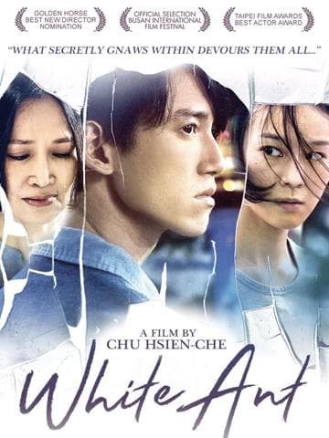 White Ant