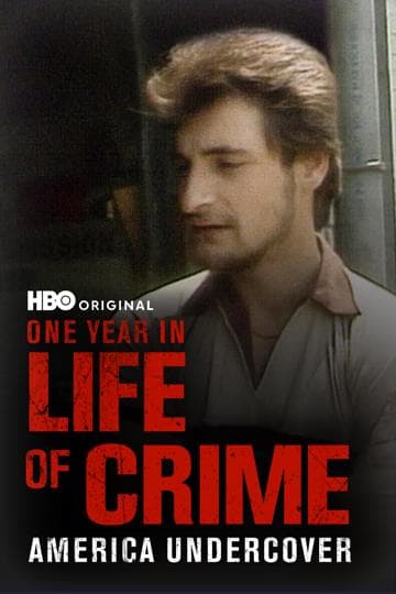 One Year in a Life of Crime