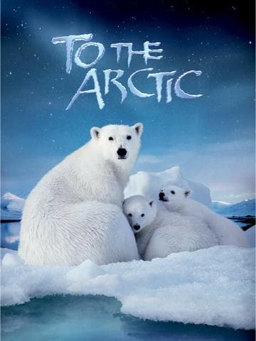 Journey to the South Pacific