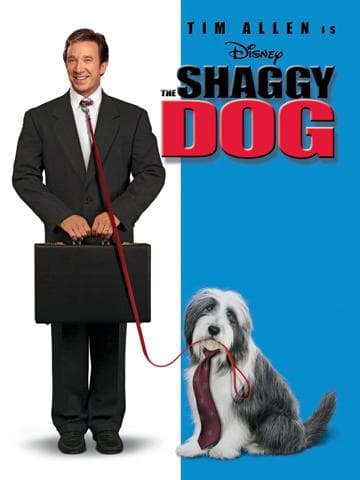The Shaggy Dog