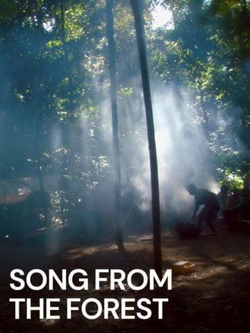 Song from the Forest