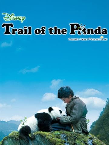 Trail of the Panda