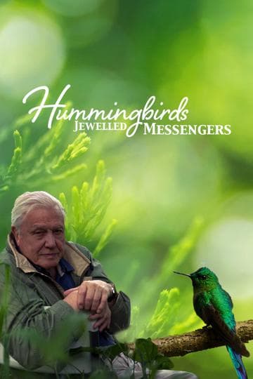 Hummingbirds: Jewelled Messengers
