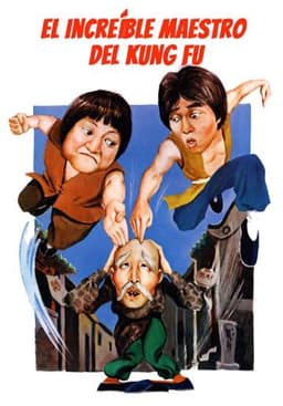 The Incredible Kung Fu Master