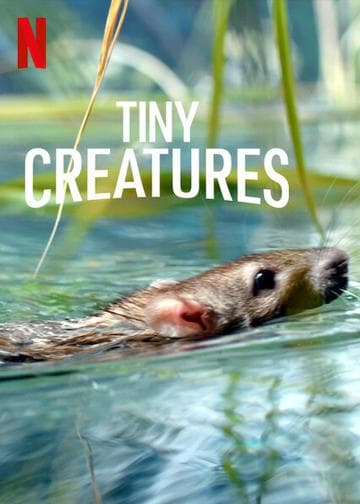 Tiny Creatures