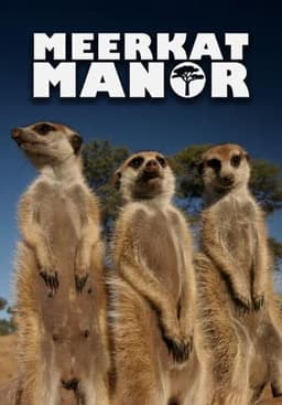 Meerkat Manor