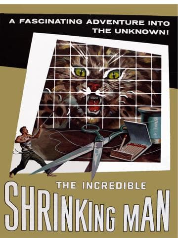The Incredible Shrinking Man