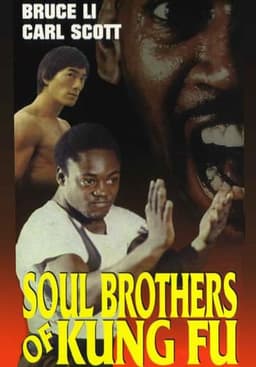Soul Brothers of Kung Fu