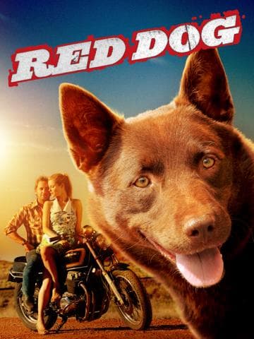 Red Dog