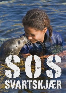 SOS: Summer of Suspense
