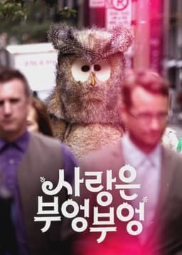 Owl You Need Is Love