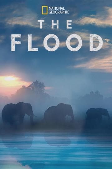The Flood