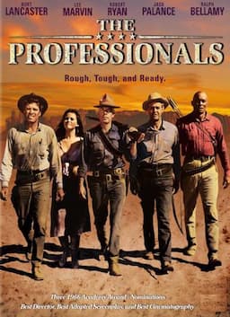 The Professionals