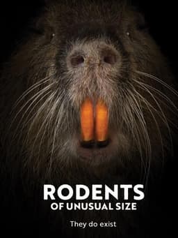 Rodents of Unusual Size